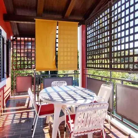 In Istrien 8354 Apartamento
